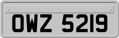 OWZ5219