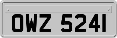 OWZ5241
