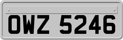 OWZ5246