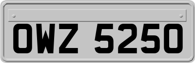 OWZ5250