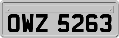 OWZ5263