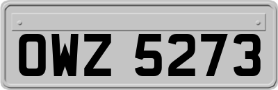 OWZ5273