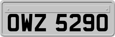 OWZ5290