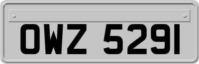 OWZ5291