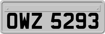 OWZ5293