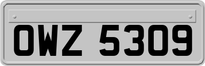 OWZ5309