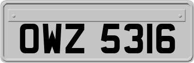 OWZ5316