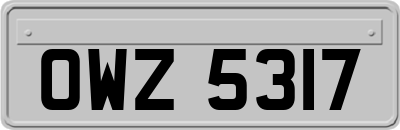 OWZ5317