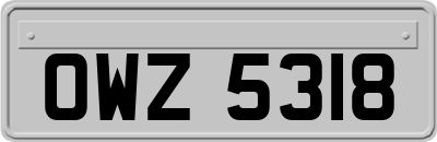 OWZ5318