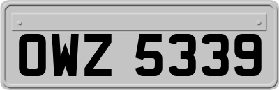 OWZ5339