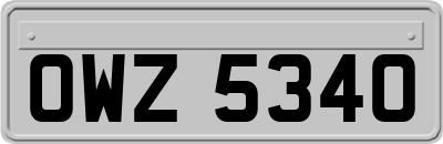 OWZ5340
