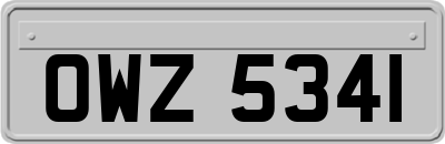 OWZ5341