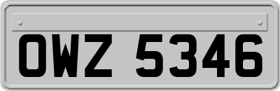 OWZ5346