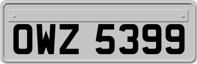 OWZ5399