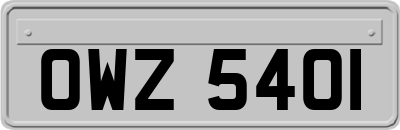 OWZ5401
