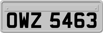 OWZ5463
