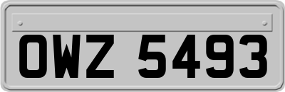 OWZ5493