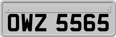 OWZ5565
