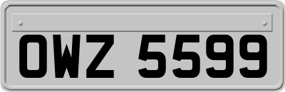 OWZ5599