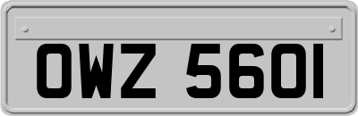 OWZ5601