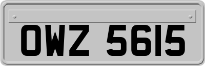 OWZ5615