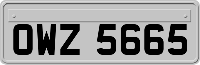 OWZ5665