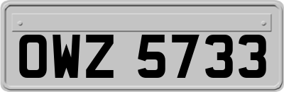 OWZ5733
