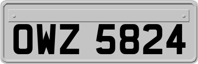 OWZ5824