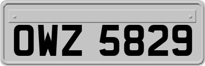 OWZ5829