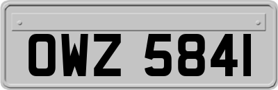 OWZ5841