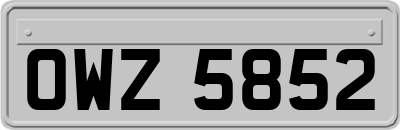 OWZ5852