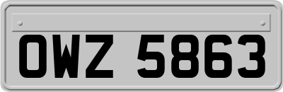 OWZ5863