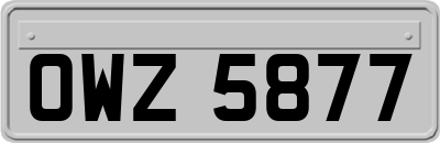 OWZ5877