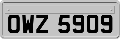 OWZ5909