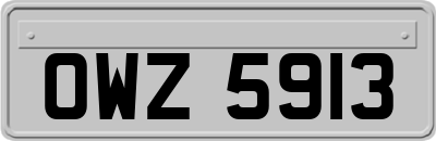 OWZ5913