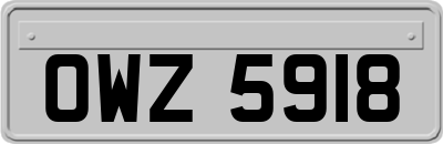 OWZ5918