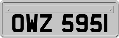 OWZ5951