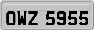 OWZ5955