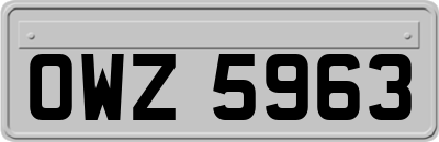 OWZ5963