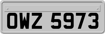 OWZ5973