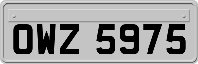 OWZ5975