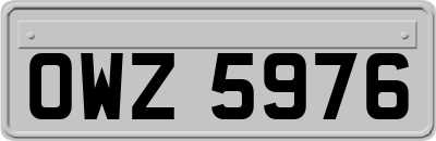 OWZ5976