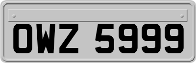 OWZ5999