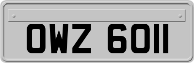 OWZ6011