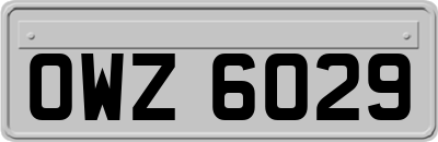 OWZ6029