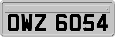 OWZ6054