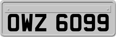 OWZ6099
