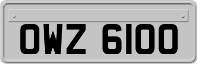 OWZ6100