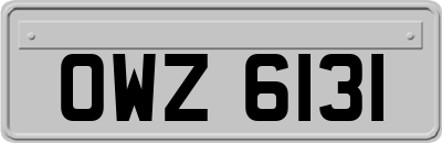 OWZ6131
