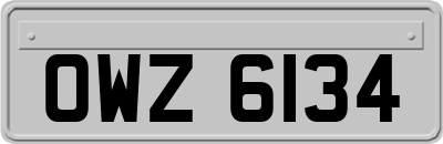 OWZ6134